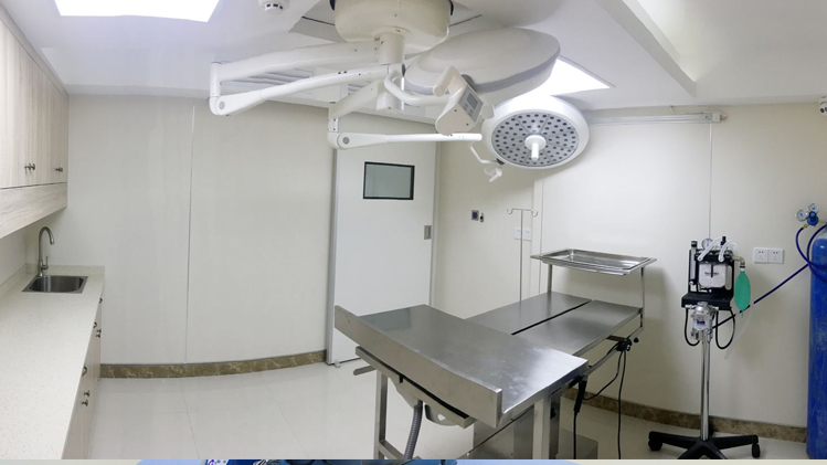 寵物門診DR室防輻射工程解決方案